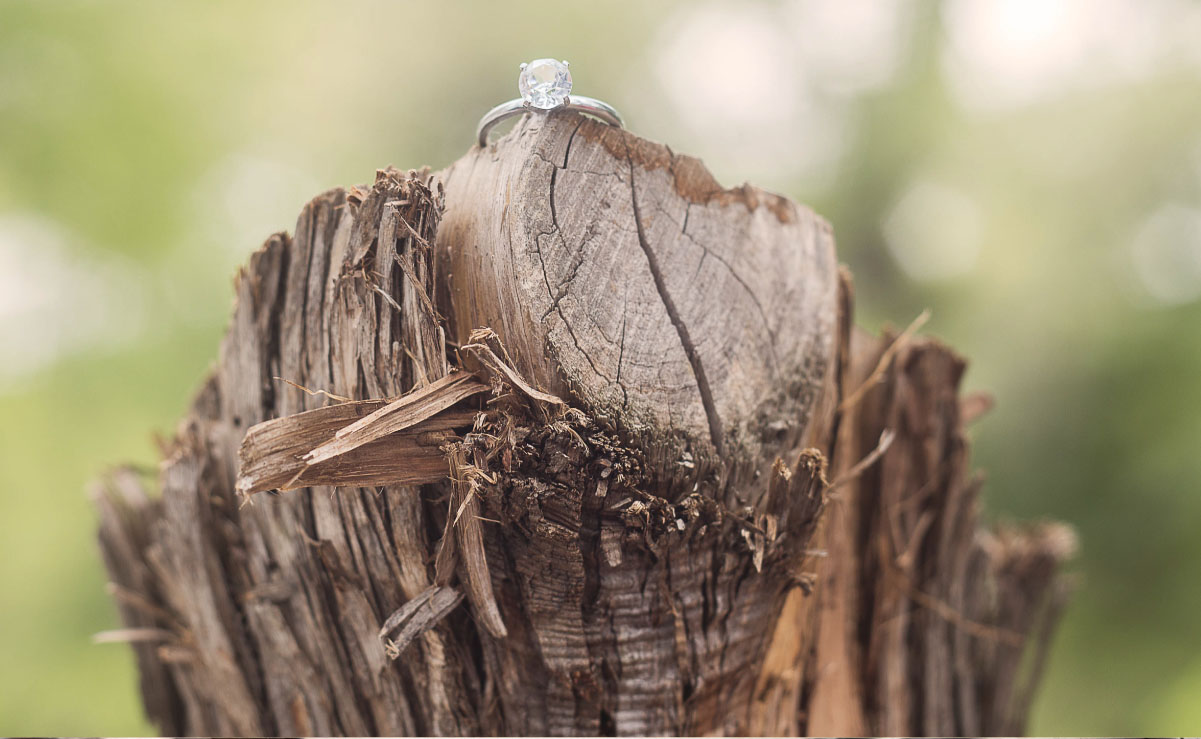 Picture of engagement ring on tree stump